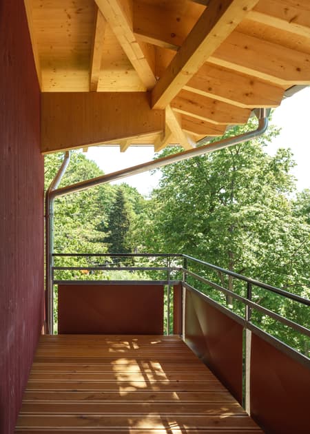 House in a Park